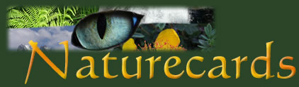 Naturecards